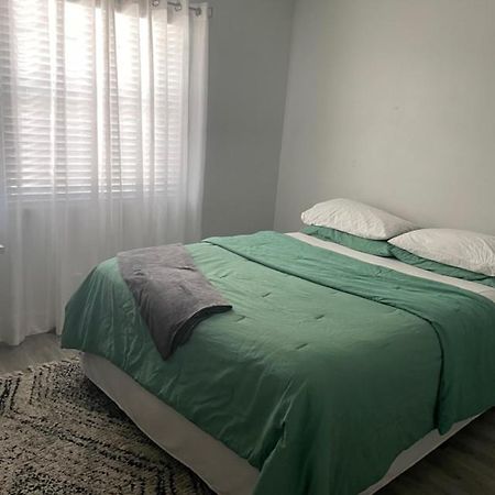 Modern Townhome טאמפה מראה חיצוני תמונה