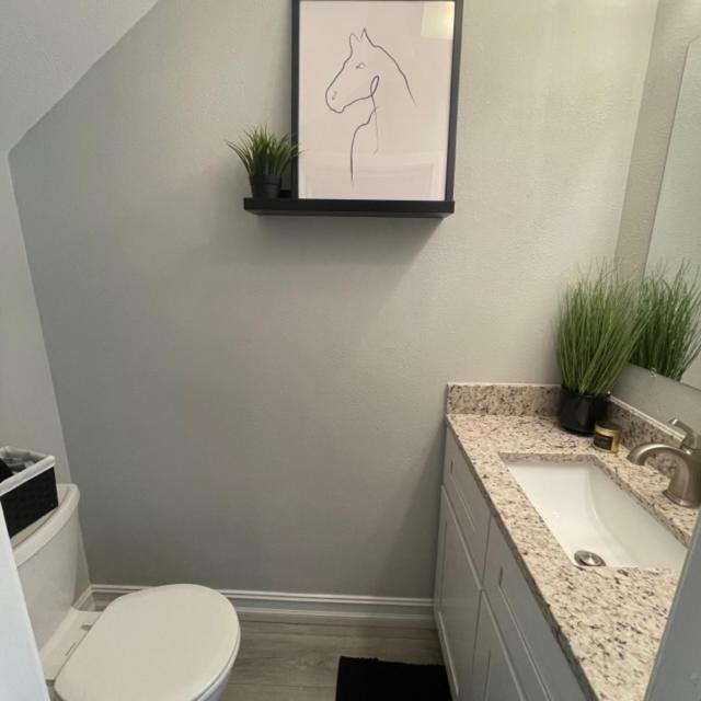 Modern Townhome טאמפה מראה חיצוני תמונה
